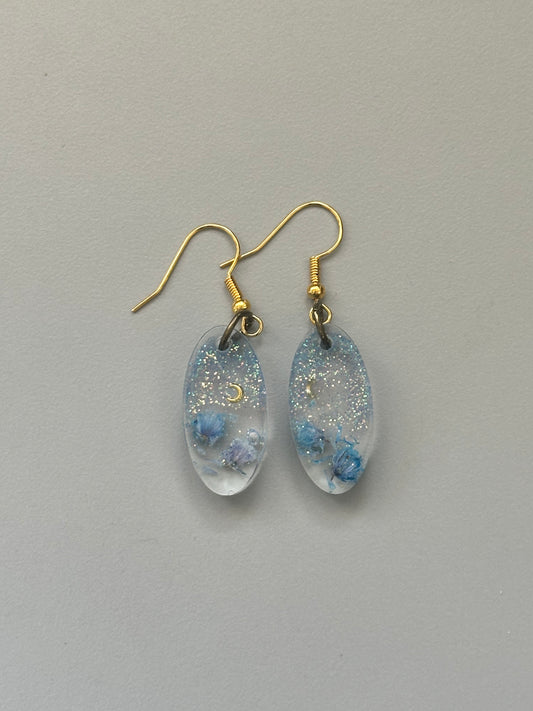Oval night sky earrings