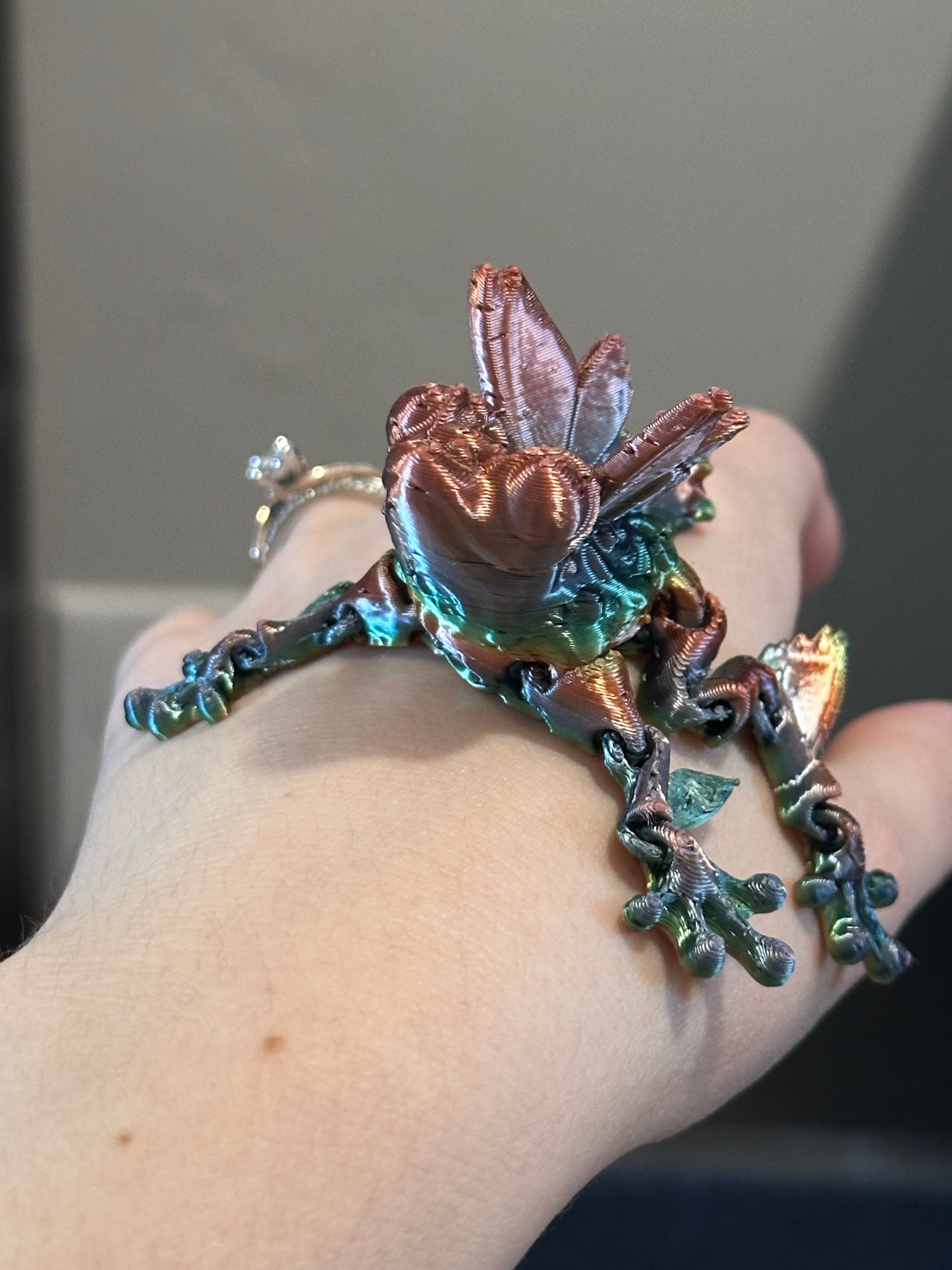 Rainbow frog