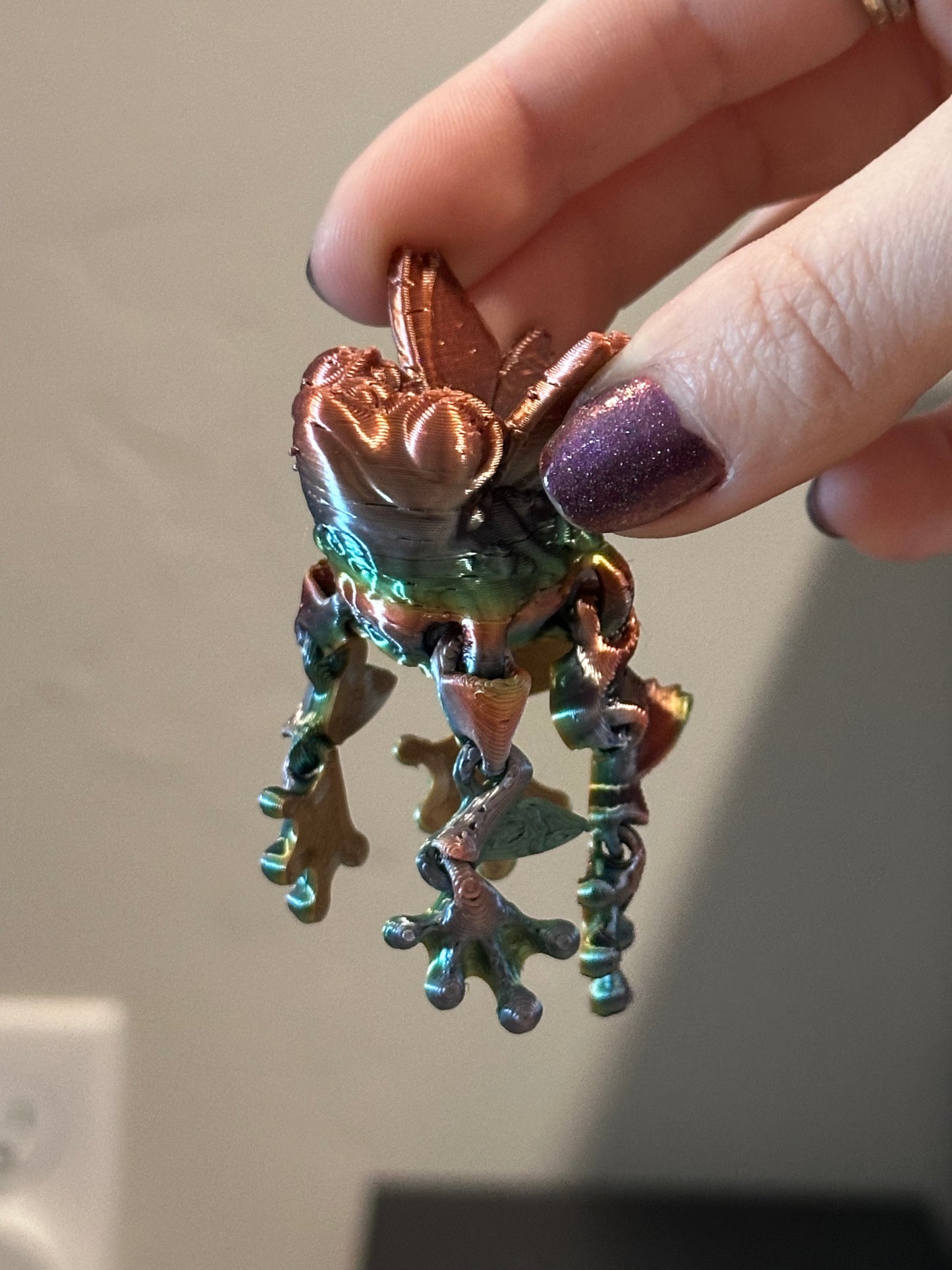 Rainbow frog