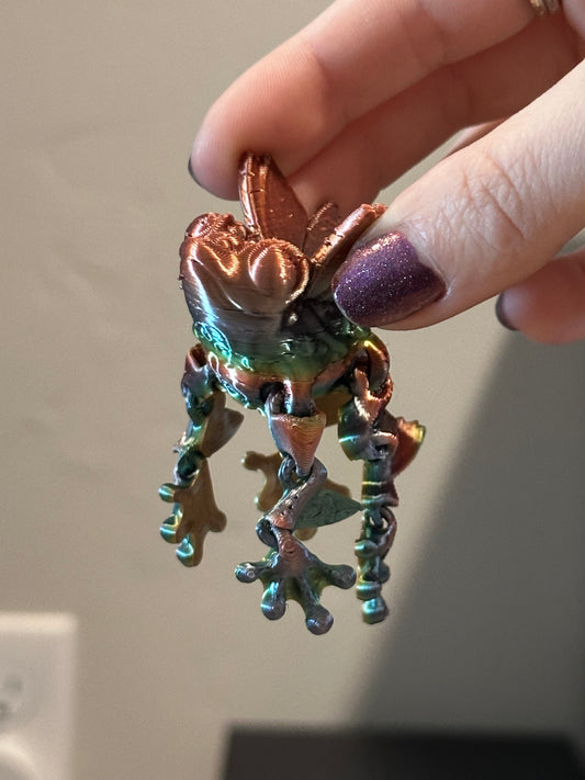 Rainbow frog