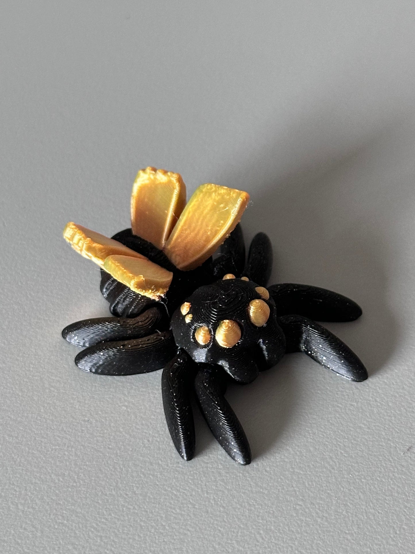 Fairy spider